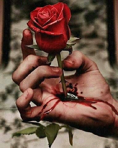 Кровь и розы