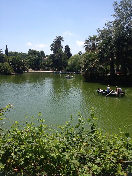 Я в лодке,гребу