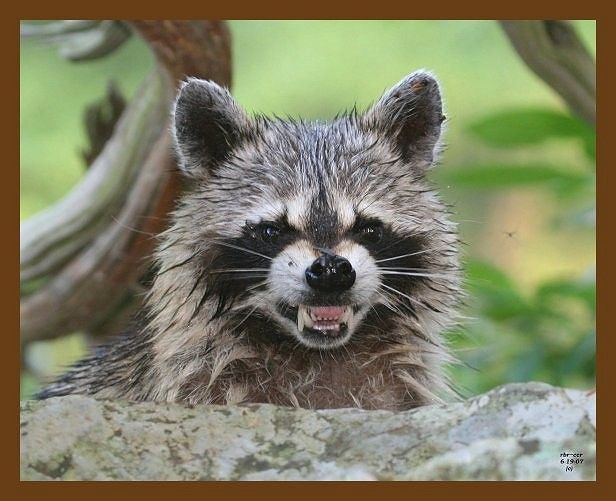 Я люблю женщин!!!Где вы?