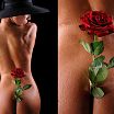 ...красная роза - эмблема любви