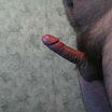 e64