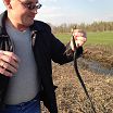 Краассава! Только ядовитая!!!