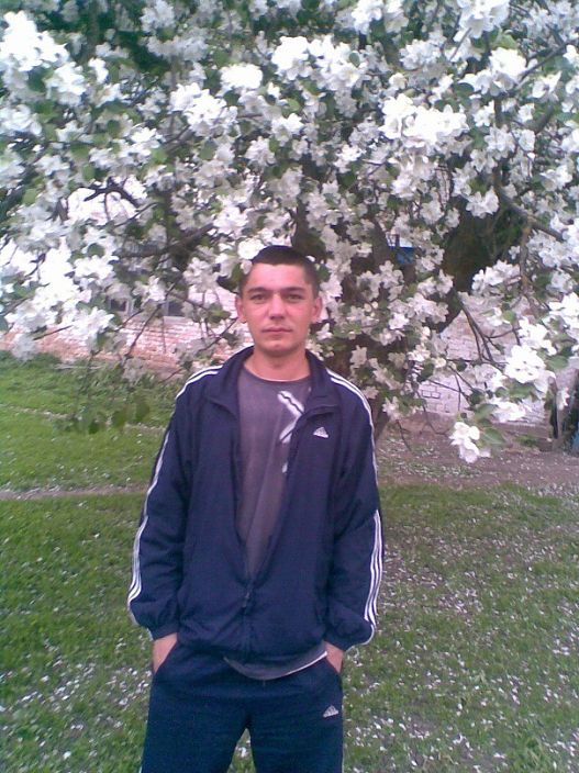 я в яблонях