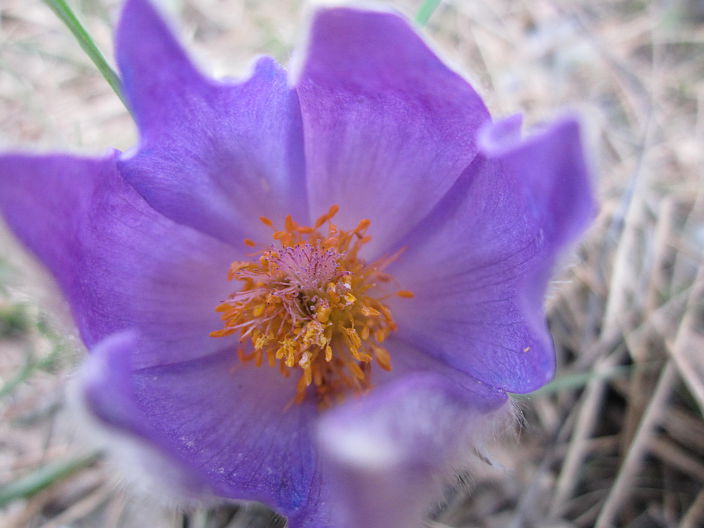 Весна)))))))))))