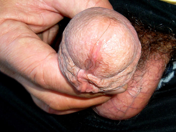 тоже хочет.