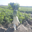 йцукеп
