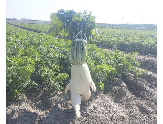 йцукеп