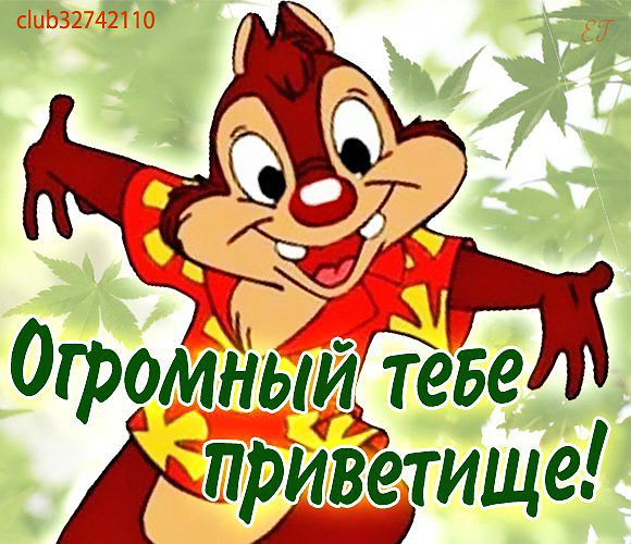 привет