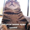 ьтсибию