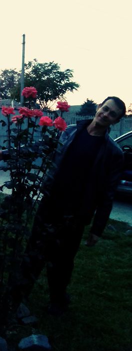 я и розы