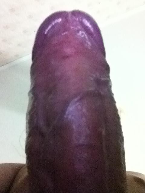 мой  дружок