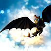 drako