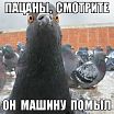 ыфввф
