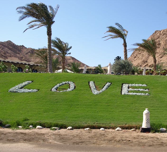 LOVE