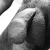 my cock