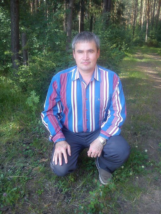 в лесу