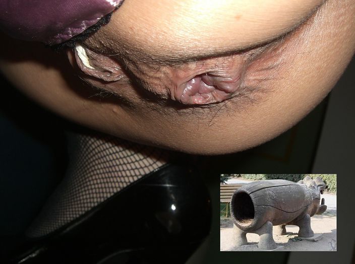 Дупло голой девахи для извращенки 15 фото эротики Дупло голой девахи для извращенки 15 фото эротики