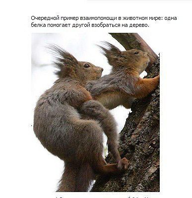 Zdarovi sex