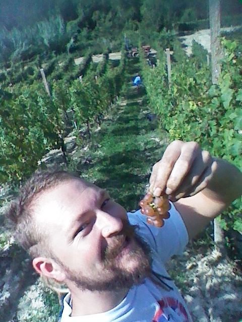 harvest in contryside