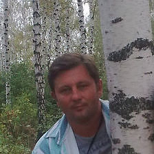 Берёзы, берёзы...