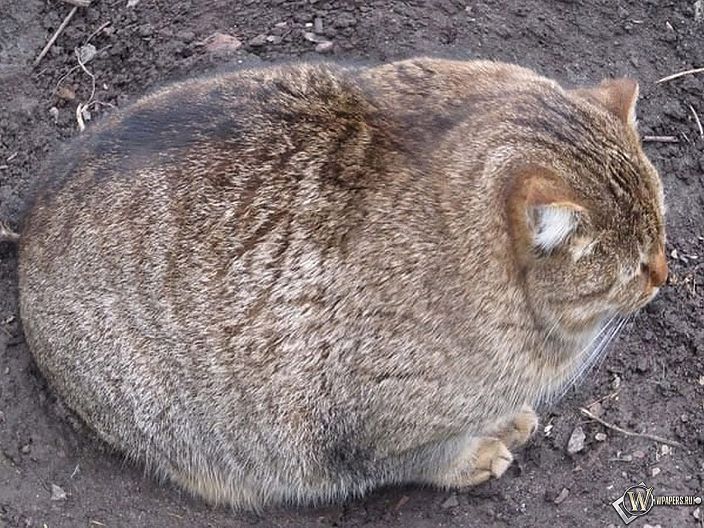 это я
