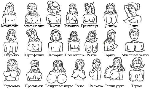 Типы женской груди