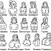 Типы женской груди