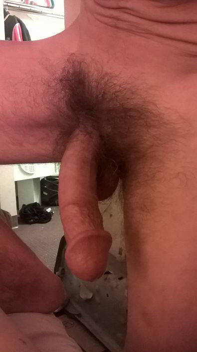 husband's cock