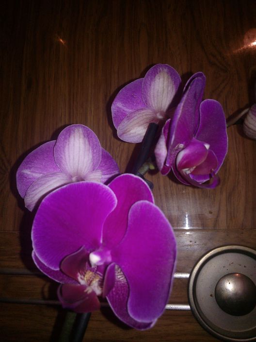 Вам женщины!!!