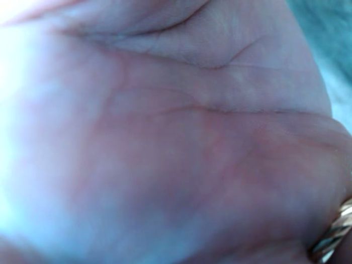 дрочка, член