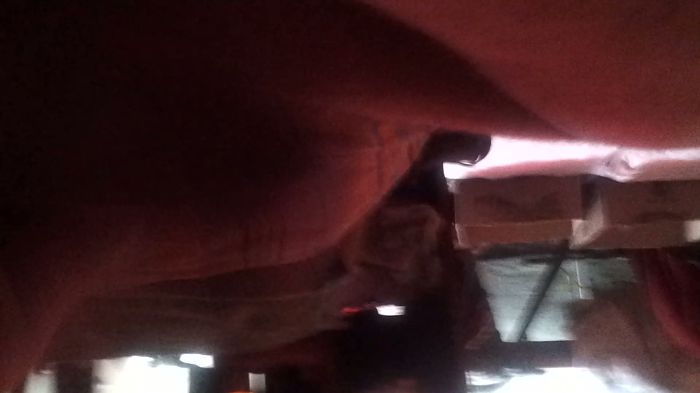 эротический