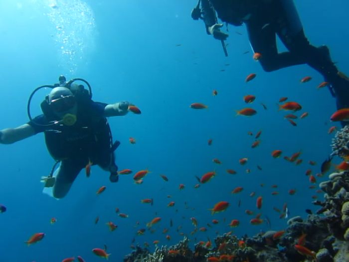 Личные видео