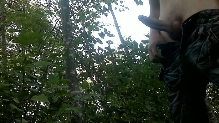 подрочил и кончил на свежем воздухе