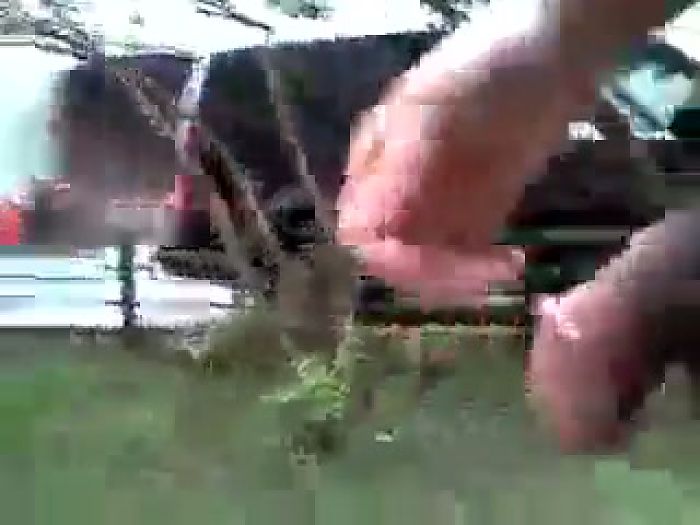 Личные видео