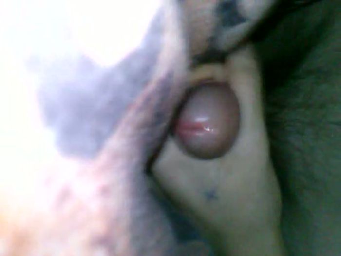 кончает, сегодня ночью на мои фото и видео)***