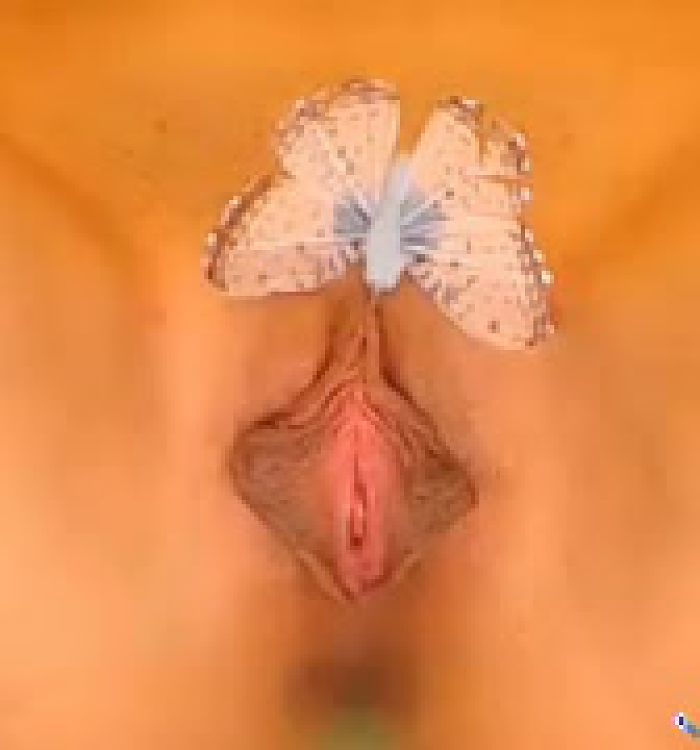 ПИСЯ БАБОЧКА